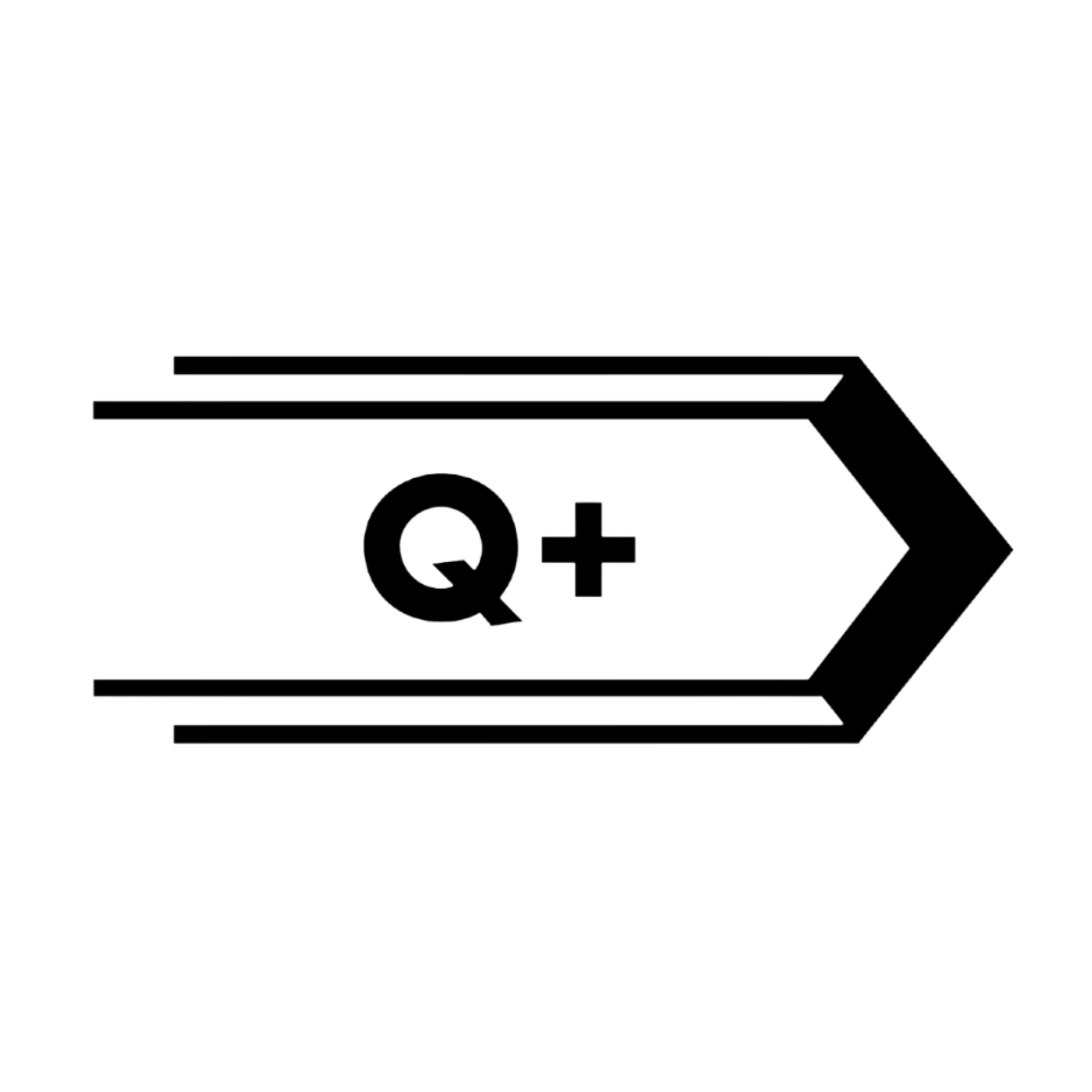 Q+ Programme