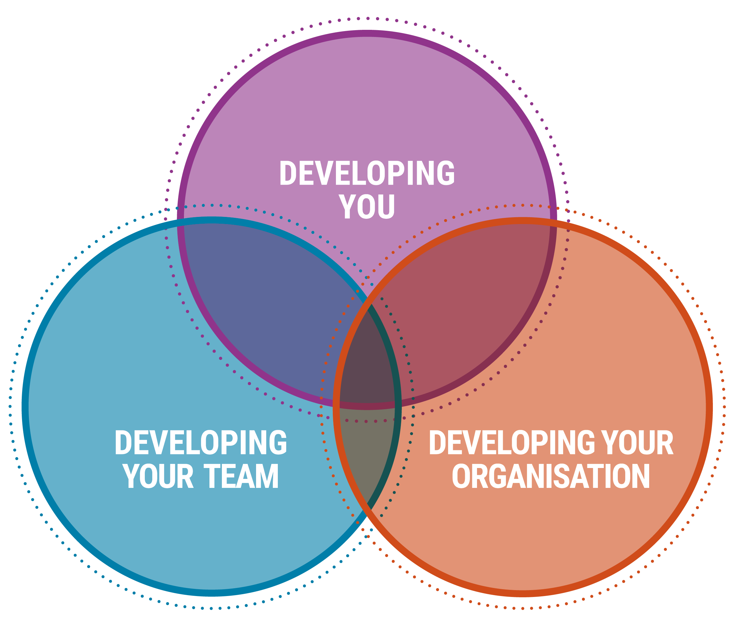 QuoLux Three Circle Diagram - Developing You, Developing Your Team, Developing Your Organisation